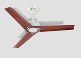 Orient Electric Joan Ceiling Fan