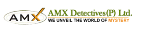 Amx Detectives (P) Ltd.