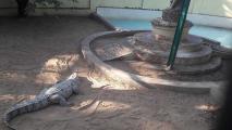 VOC Park and Zoo - Coimbatore