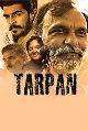 Tarpan