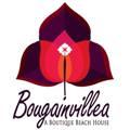 Bougainvillea - Alibaug