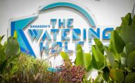 The Watering Hole - Rajarajeshwari Nagar - Bangalore