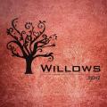 Willows Spa - Kilpauk - Chennai