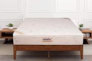 Springtek Mattress