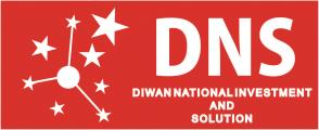 DNS Capital