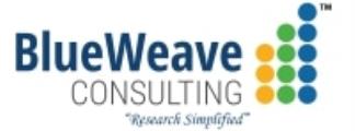 BlueWeave Consulting