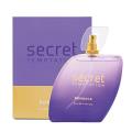 Secret Temptation Romance for Women