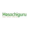 Hosachiguru