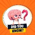 Riddle Game English Puzzle