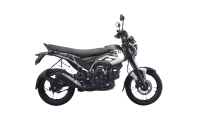 Bajaj Freedom 125 NG04 Drum
