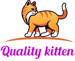 Qualitykitten