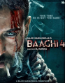 Baaghi 4