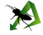 Pest in City