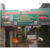 Blossoms - Cochin Photo