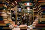 Gudia Books - Jaipur  Photo