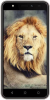 Intex Aqua Lions T1 Photo