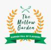 The Mellow Garden - Rajouri Garden - New Delhi Photo