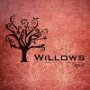 Willows Spa - T-Nagar - Chennai Photo