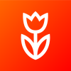 Flowwow Photo