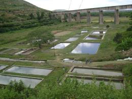 Sulekere - Davangere