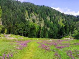 Kungwattan - Pulwama