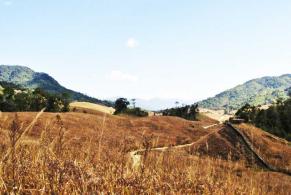 Buning Meadows - Tamenglong
