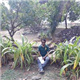 pradeepkre1