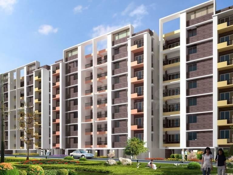 Radiant White Orchid - Bannerghatta Road - Bangalore Image