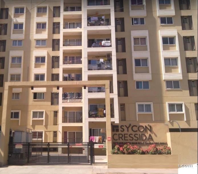 Sycon Cressida - Horamavu - Bangalore Image