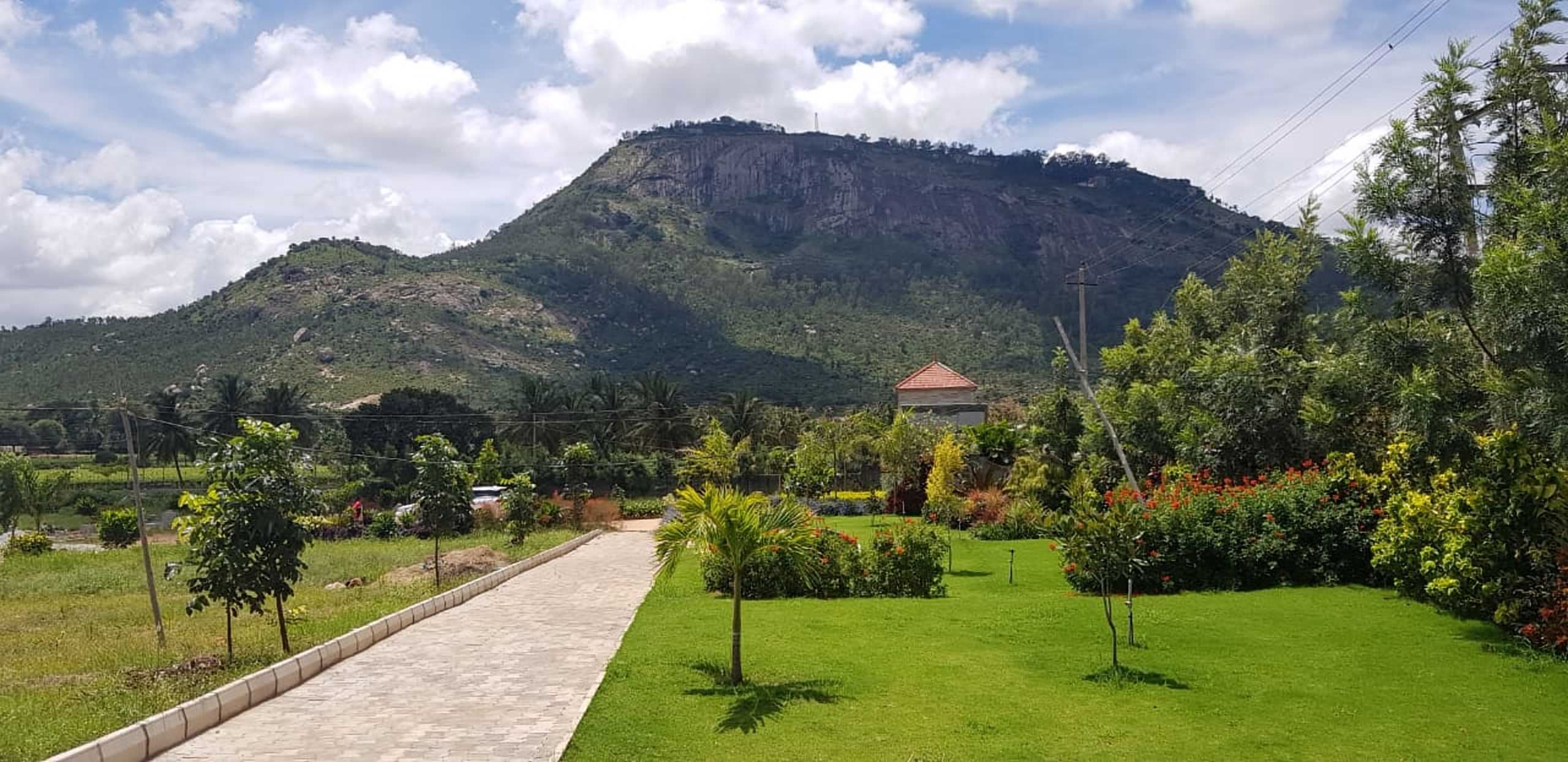 Nandi Magnolia - Nandi Hills - Bangalore Image