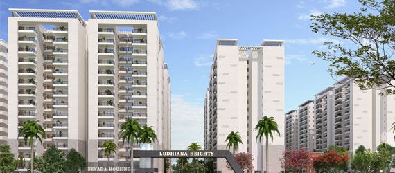 Nevada Ludhiana Heights - Ludhiana Image