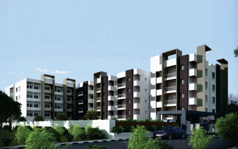 Meda Elina - Bangalore Image