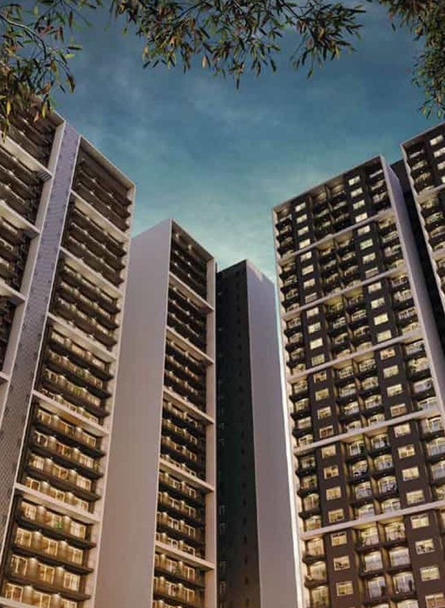 Godrej Plumeria - Sector 43 - Noida Image